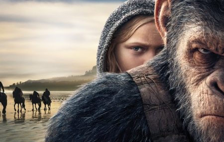 去有风的地方电视剧海报